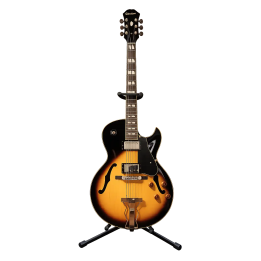Guitarra Epiphone ES-175 Premium