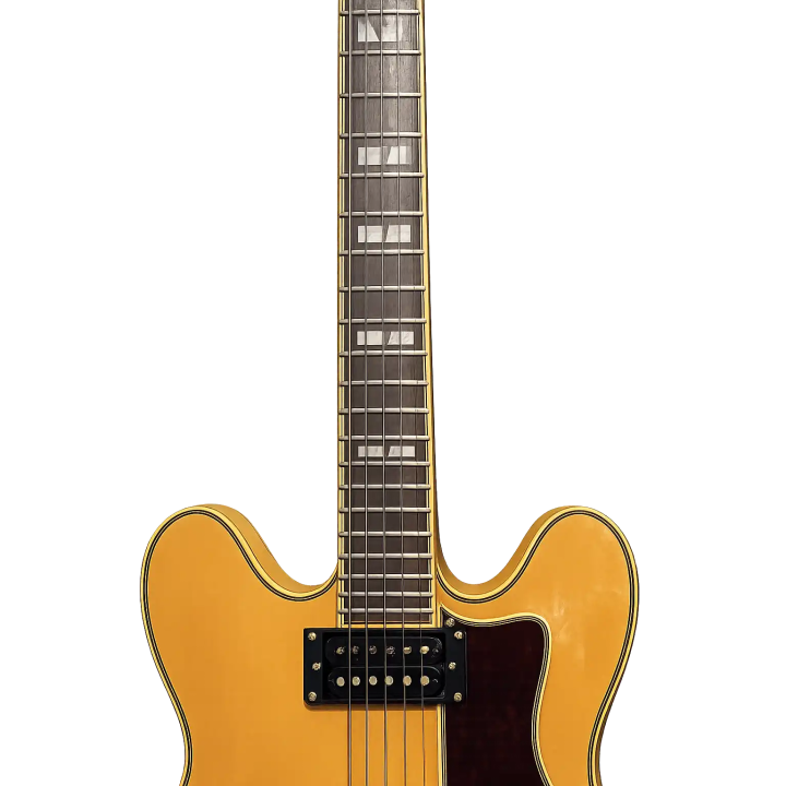 Guitarra Epiphone ES-335