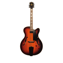 Guitarra Washburn J600