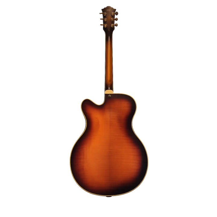 Guitarra Washburn J600