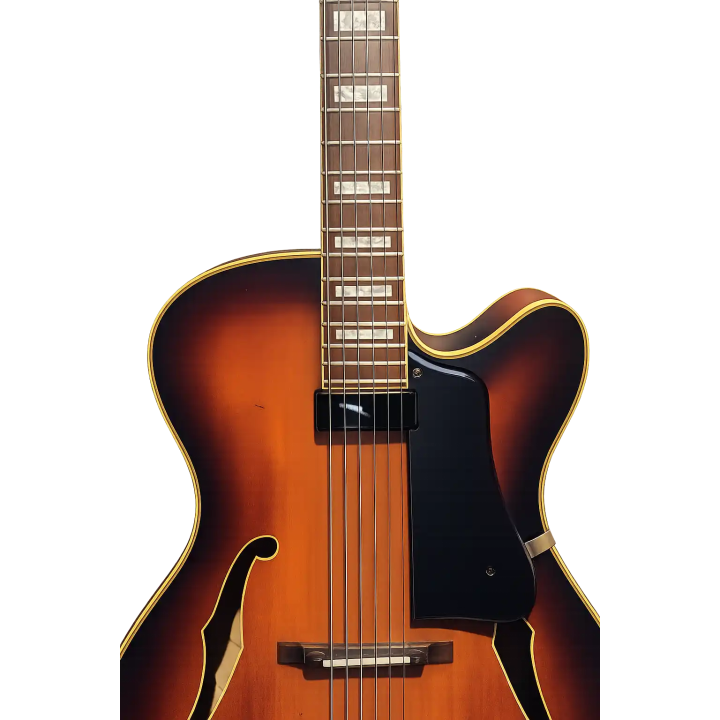 Guitarra Washburn J600