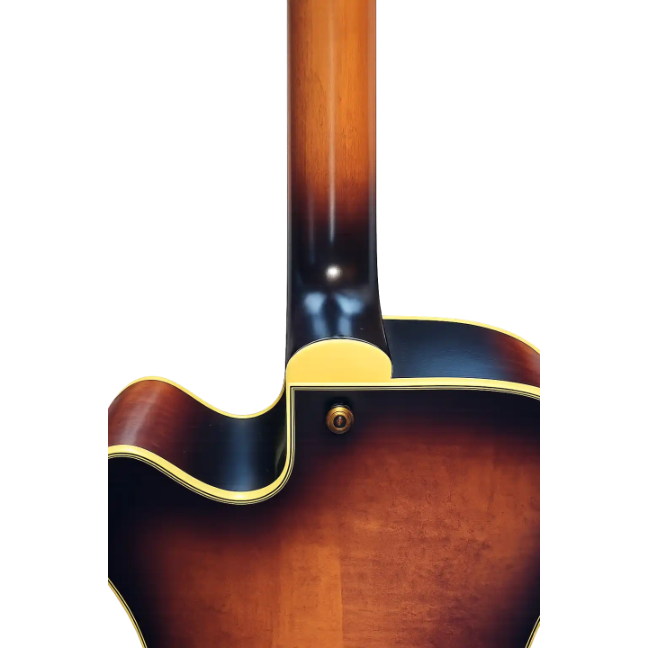 Guitarra Washburn J600