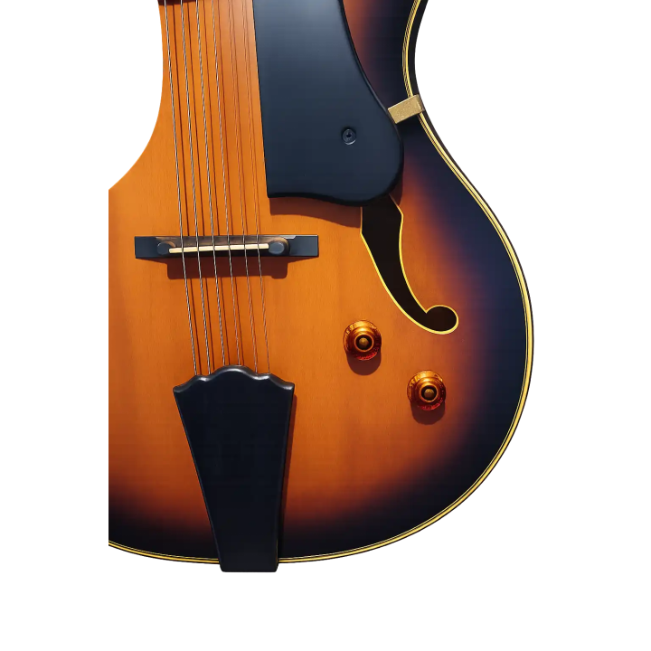 Guitarra Washburn J600